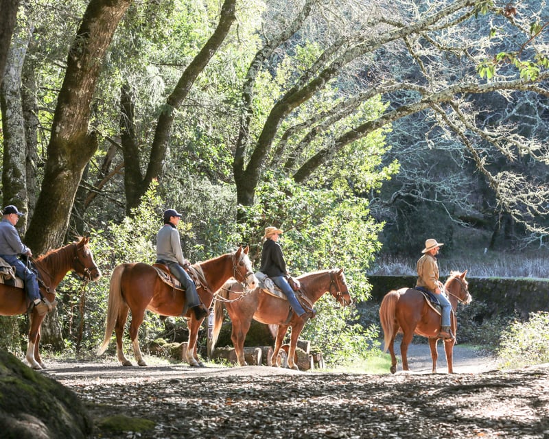 Redwood Horseback Ride at Jack London State Historic Park