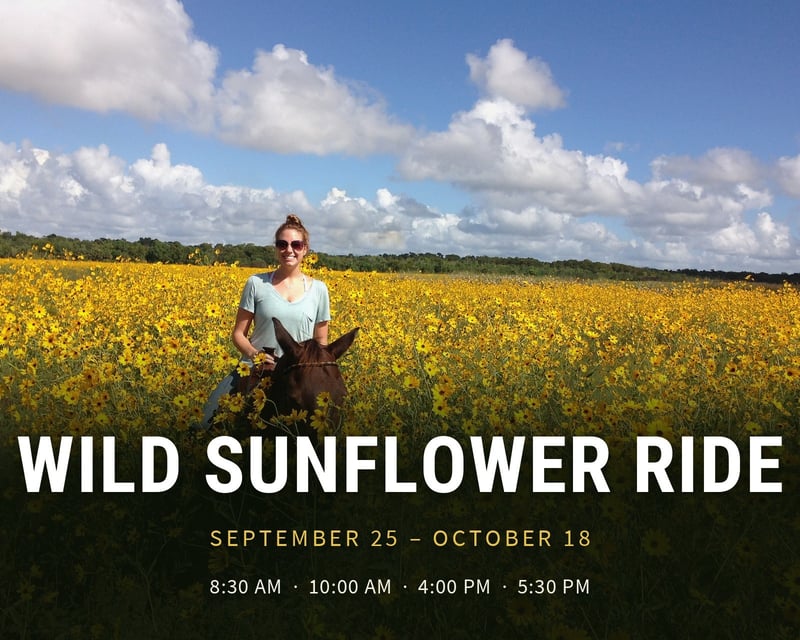 Lake Jesup Horseback Trail Ride & Ranch Visit