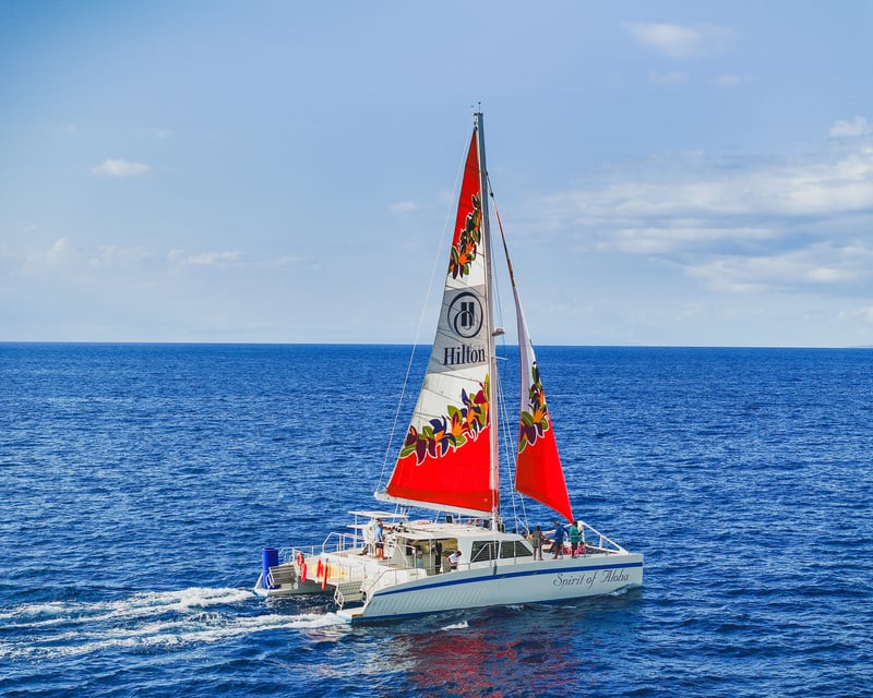 3-Hour Snorkel Cruise in Waikoloa