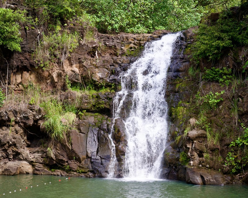 Private Oahu North Shore Tour with Waimea Valley Waterfall