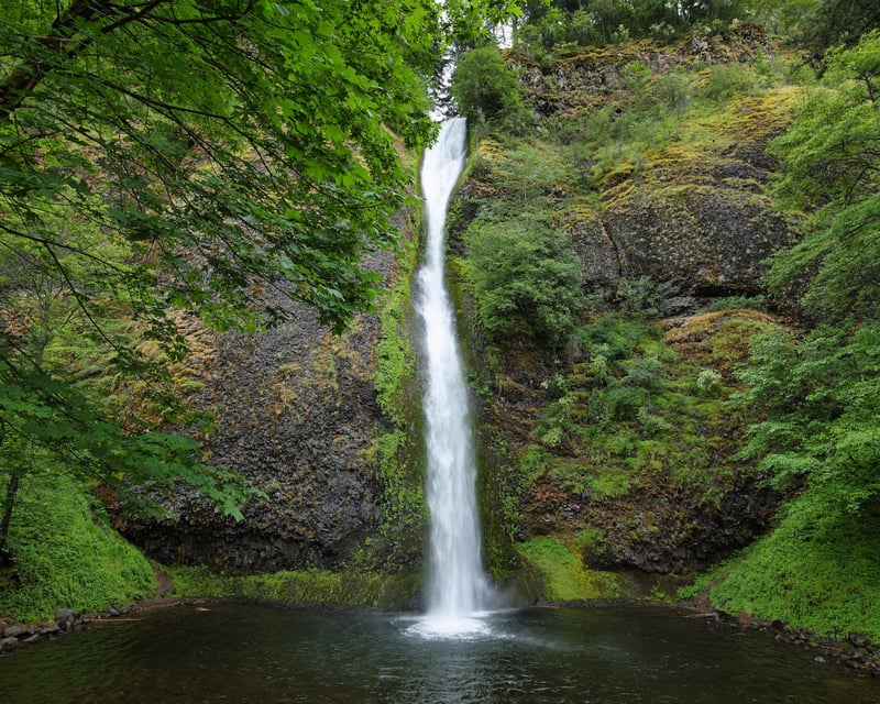 Private Full-Day Columbia River Gorge Tour from Hood River