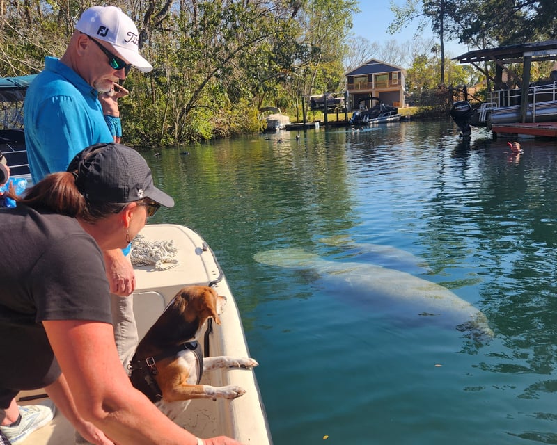 Crystal River Wildlife Boat Tour with Captain