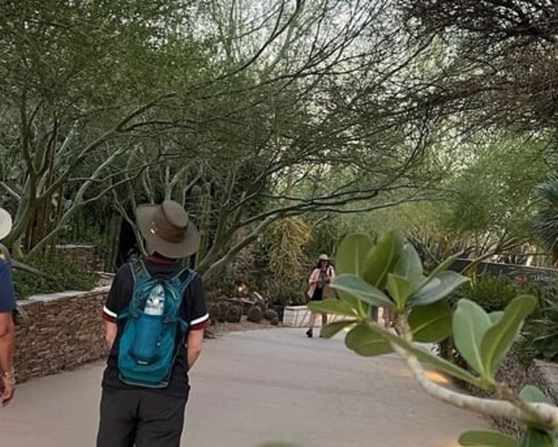 Desert Botanical Garden Guided Walk & Cactus Tasting