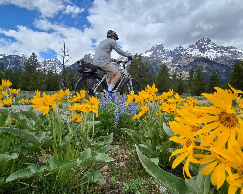 Grand Teton National Park Guided E-Bike Tour