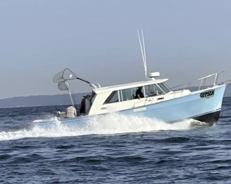 Striped Bass Fishing Trip in Brooklyn