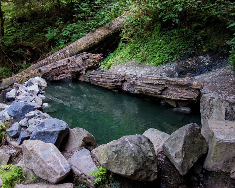 Olympic Hot Springs 21-Mile E-Bike Rental