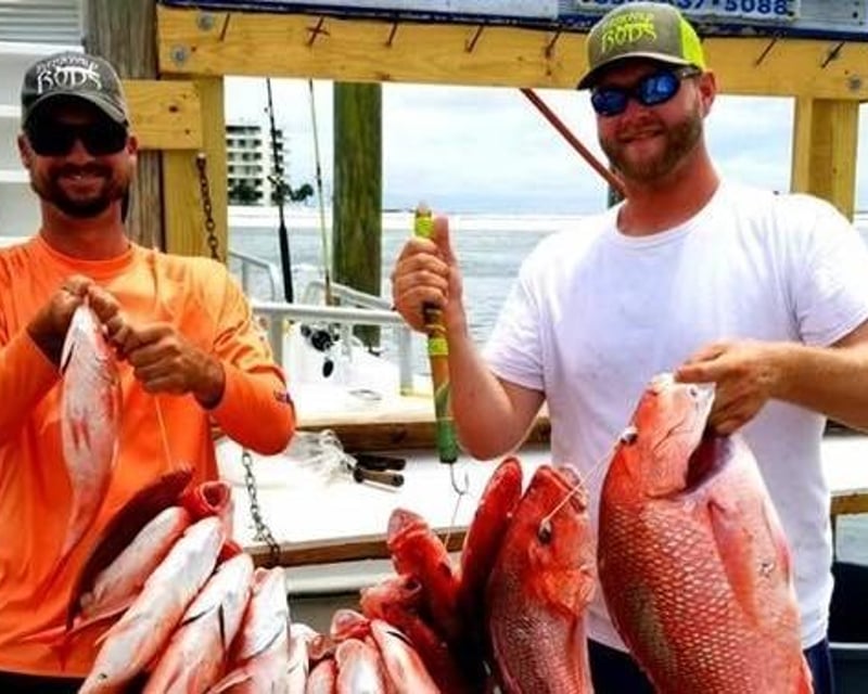 Fish On An 8-Hour Deep Sea Trip In Destin