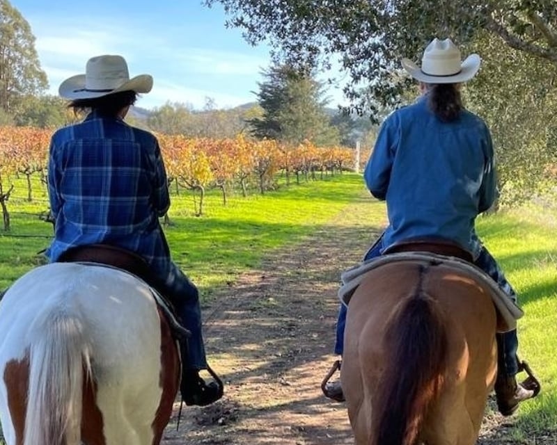 Sonoma Proposal Horseback Ride