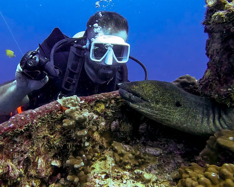Earn PADI Scuba Certification Courses