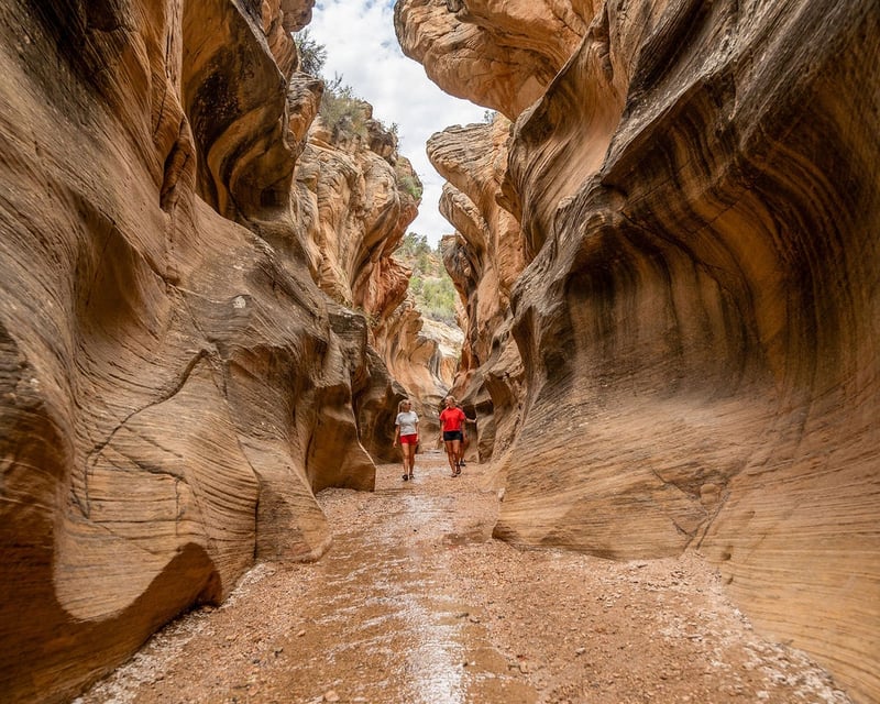 Willis Creek Slot Canyon Guided Hike Near Bryce Canyon