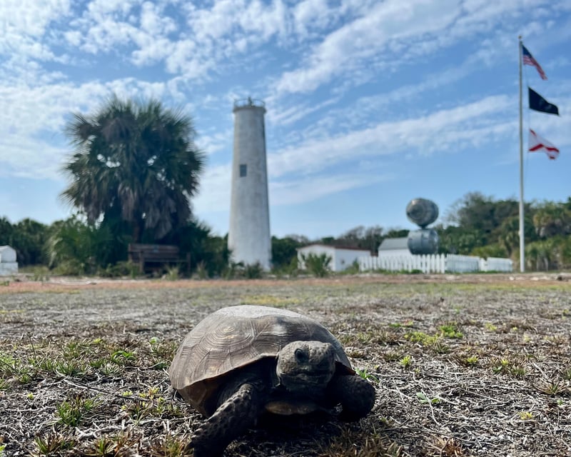 Private Egmont Key Boat Tour to Fort Dade & Lighthouse