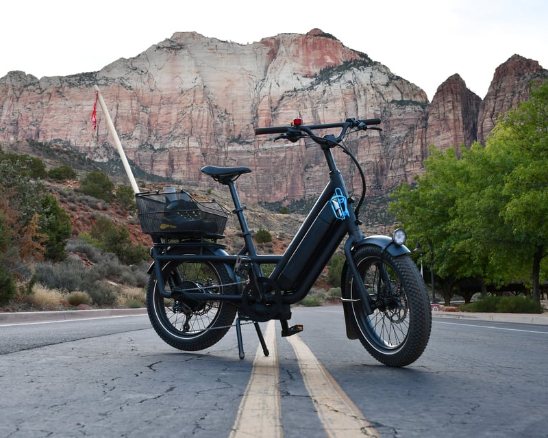 Full-Day Specialized E-Bike Rental in Springdale