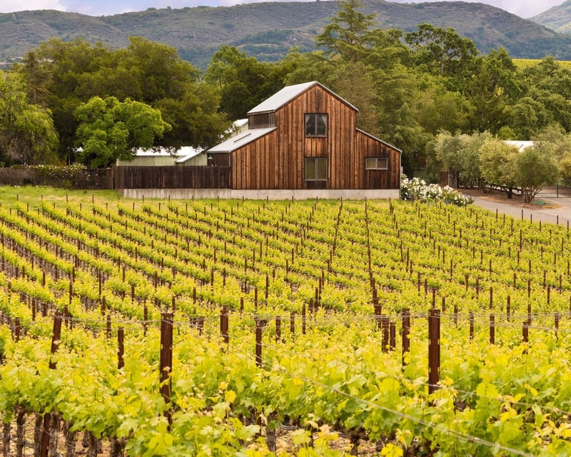 3-Day Sonoma & Napa Wine Tour