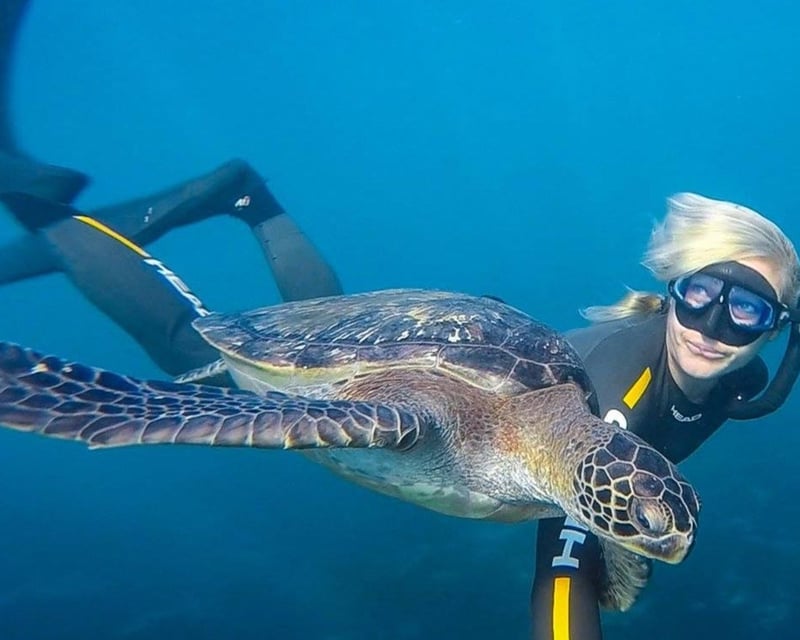 La Jolla Cove Snorkeling Tour with Sea Lions & Sea Caves