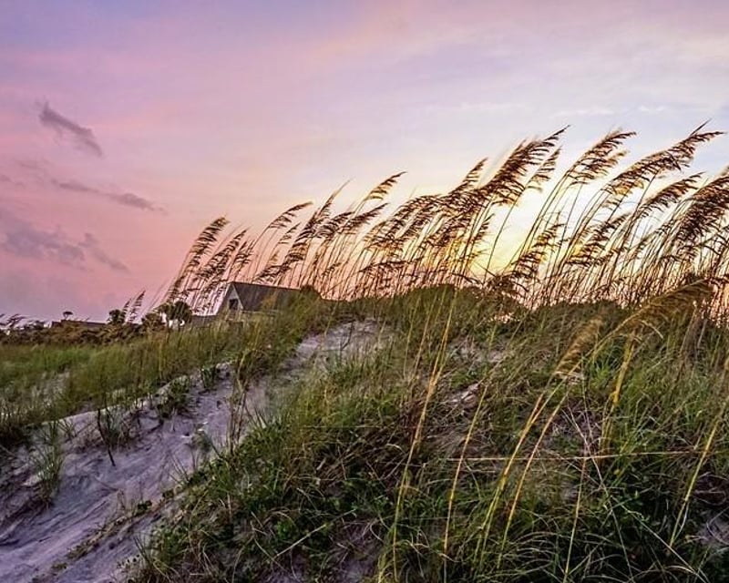 4-Day Bike Rental in Hilton Head Island