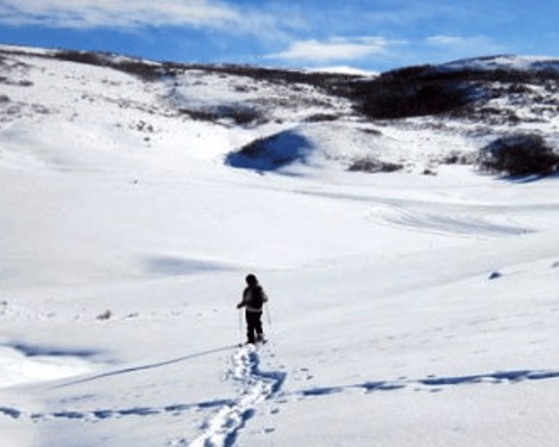 Private Guided Snowshoe Tour in Park City
