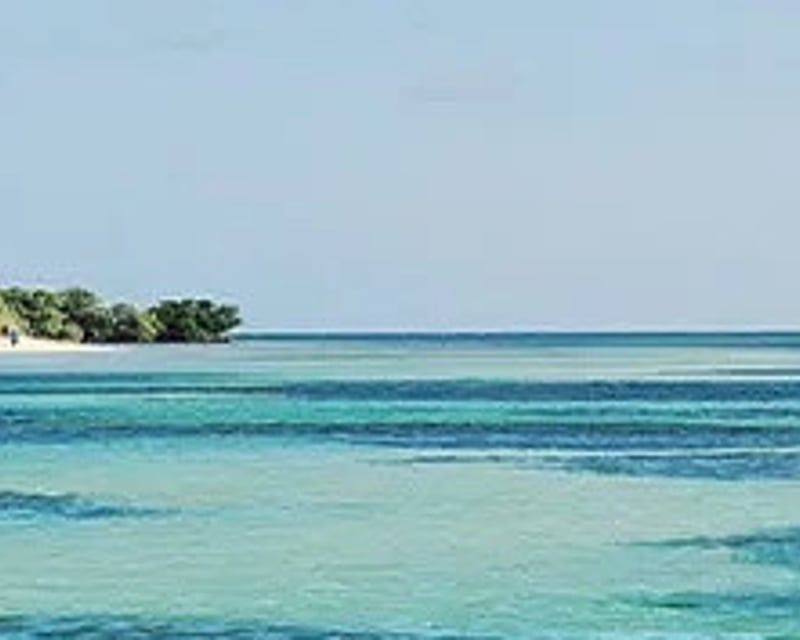 Private Sandbar & Mangrove Island Boat Charter in Key West