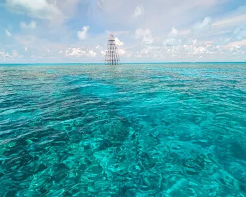 Private Snorkeling Charter in Key West