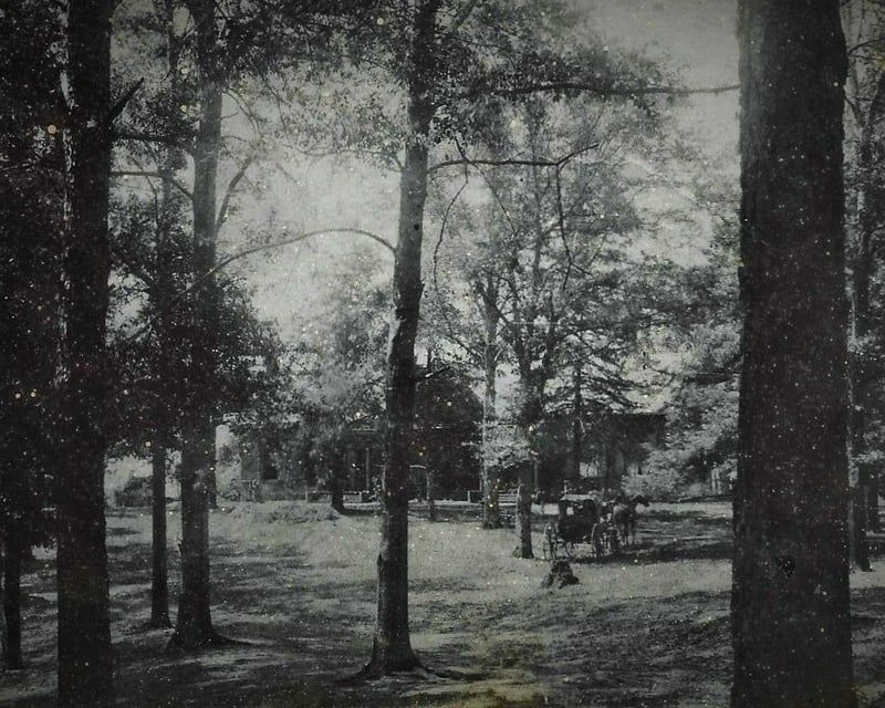 Historic Home Ghost Tour & 3-Course Dinner in Natchez