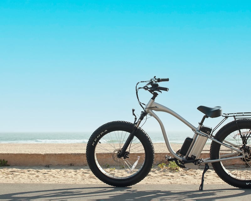 Half-Day Fat Tire E-Bike Rental in Wilmington