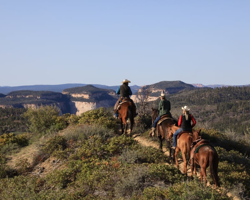 Jolly's Gulch Rim Horseback Ride Near Zion National Park