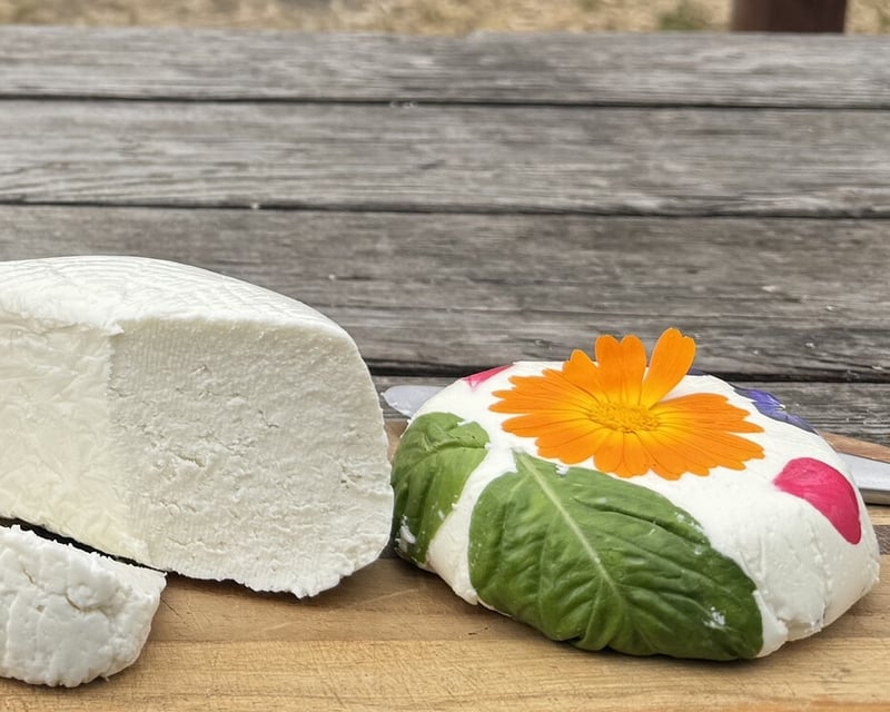 Goat Milking & Cheese-Making Tour in Pescadero
