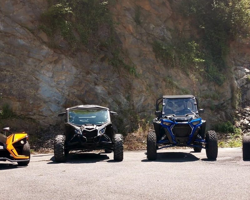 1-Day UTV Rental in Townsend