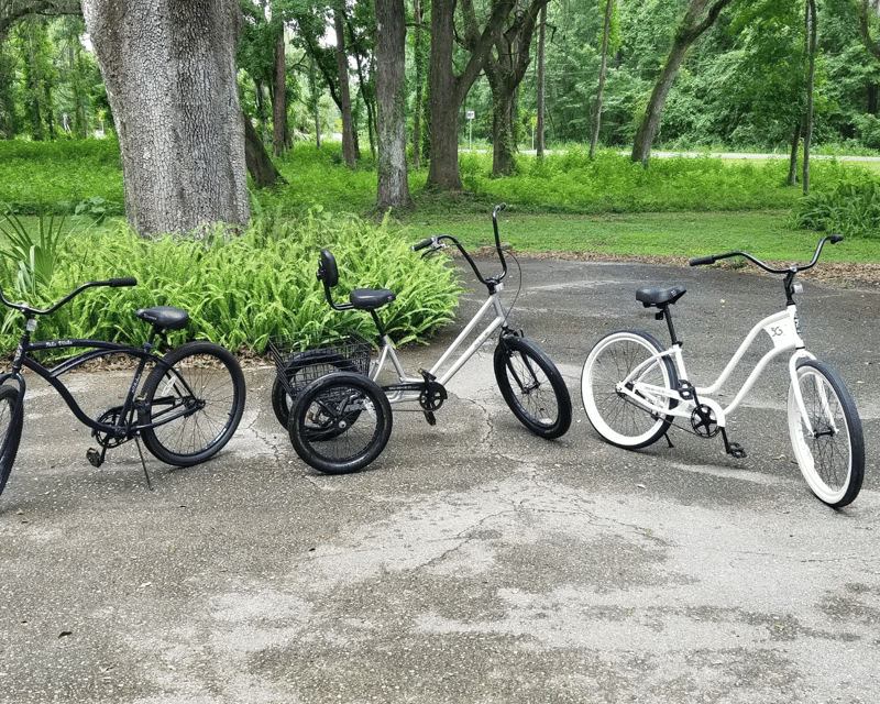Highway 98 Trail Bike Rental in Crawfordville