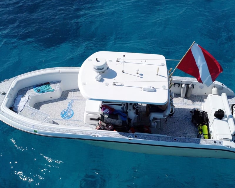 Looe Key 4-Hour Private Charter