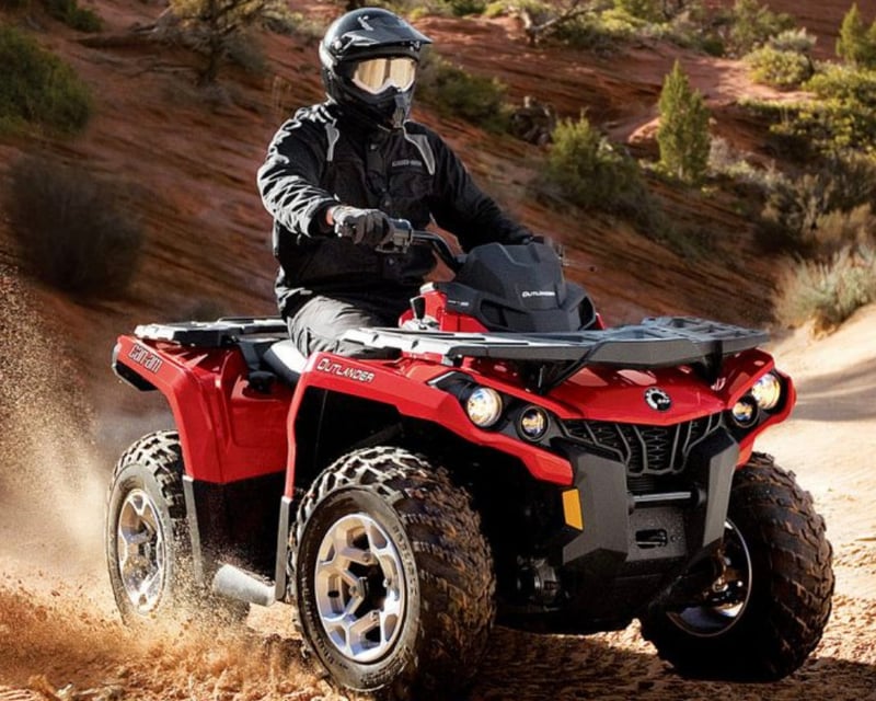 Island Park 4-Hour ATV & UTV Rental