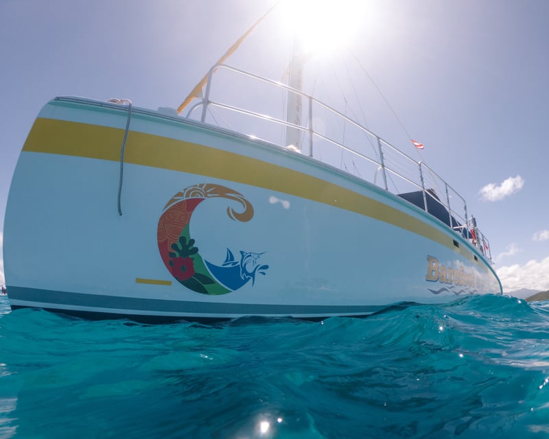 Catamaran & Snorkel Trip to Icacos Island from Fajardo