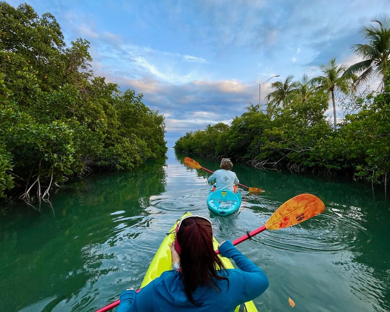 Kayak Through Mangroves & Spot Marine Life