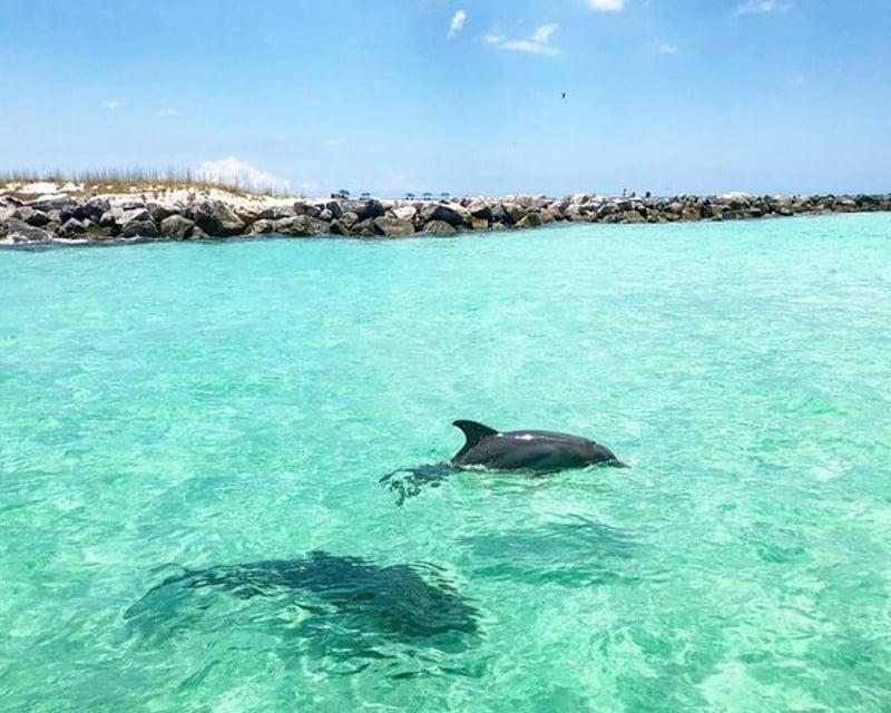 Full-Day Shell Island Private Charter
