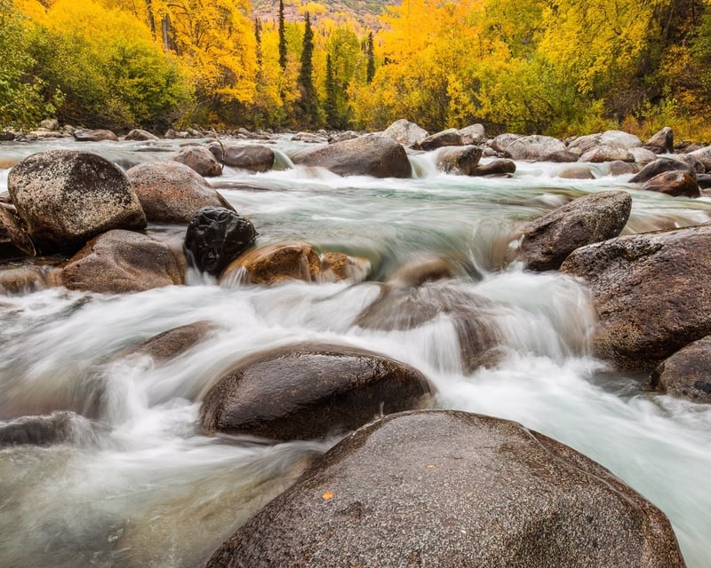 Full-Day Private Custom Photography Tour in Alaska