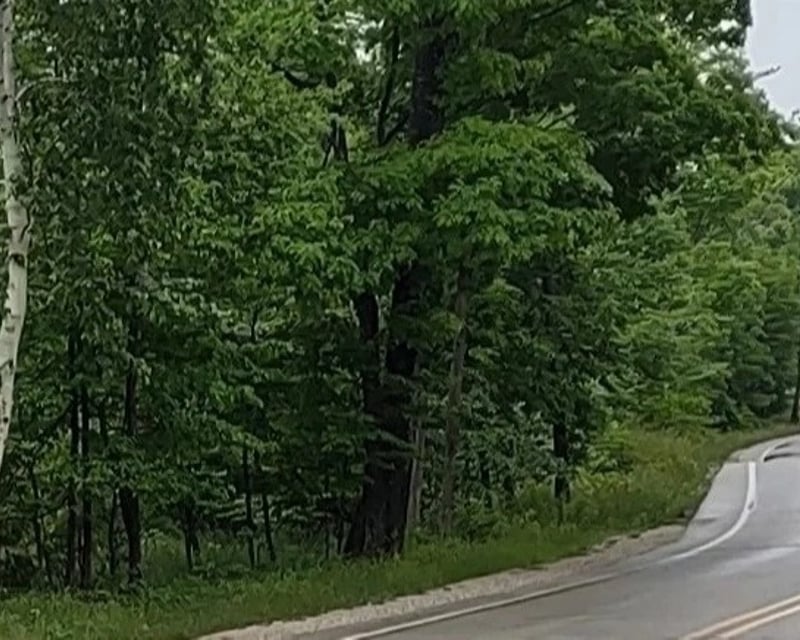 Full-Day Guided Door County Peninsula Sightseeing Tour