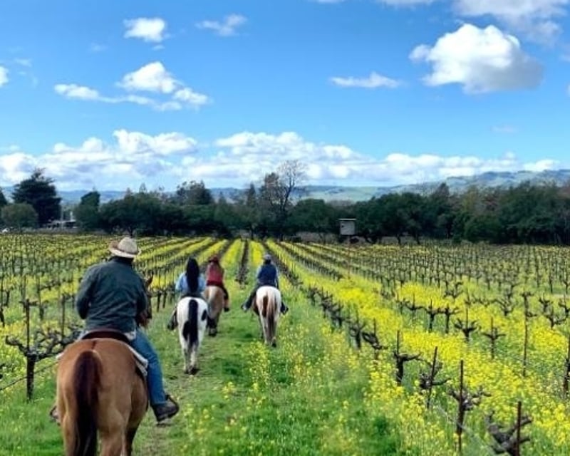 Private Horseback Ride in Sonoma