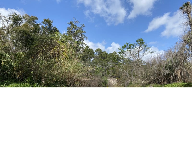 Turkey Creek Wildlife Kayak Tour in Palm Bay