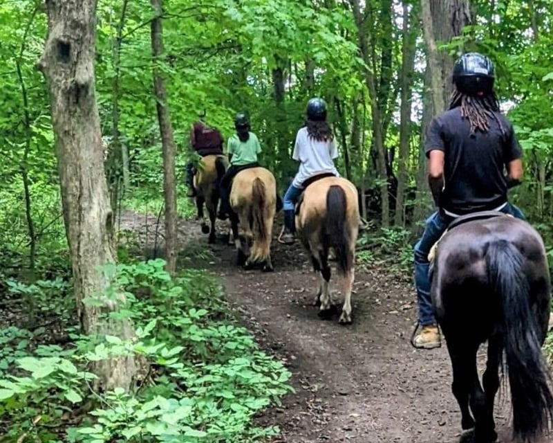 Guided Horseback Trail Ride Through 20 Wooded Acres in Findlay