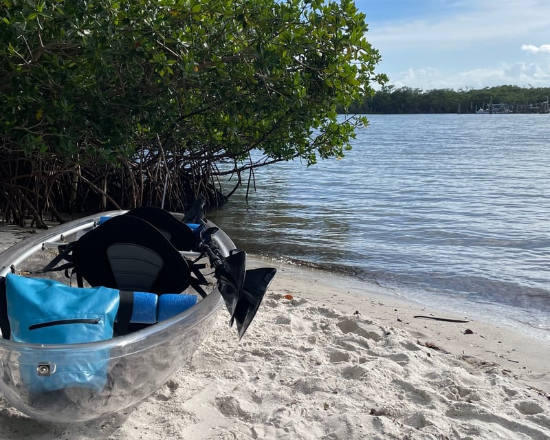 Clear Kayak Mangrove Tour in Jupiter