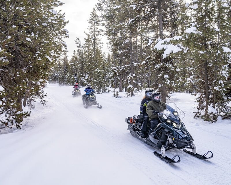 Guided 2-Hour Snowmobile Tour in Traverse City