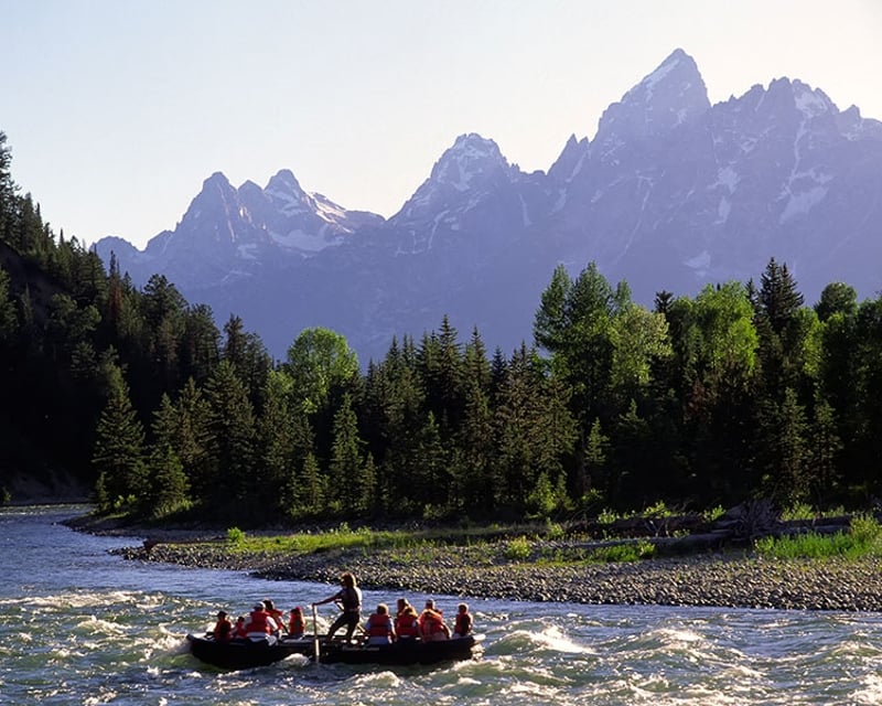 Jackson Hole Wildlife & Whitewater Rafting Tour