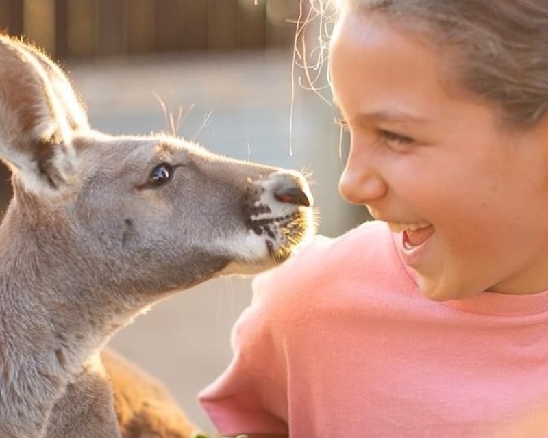 Private Wildlife Encounter in Paso Robles