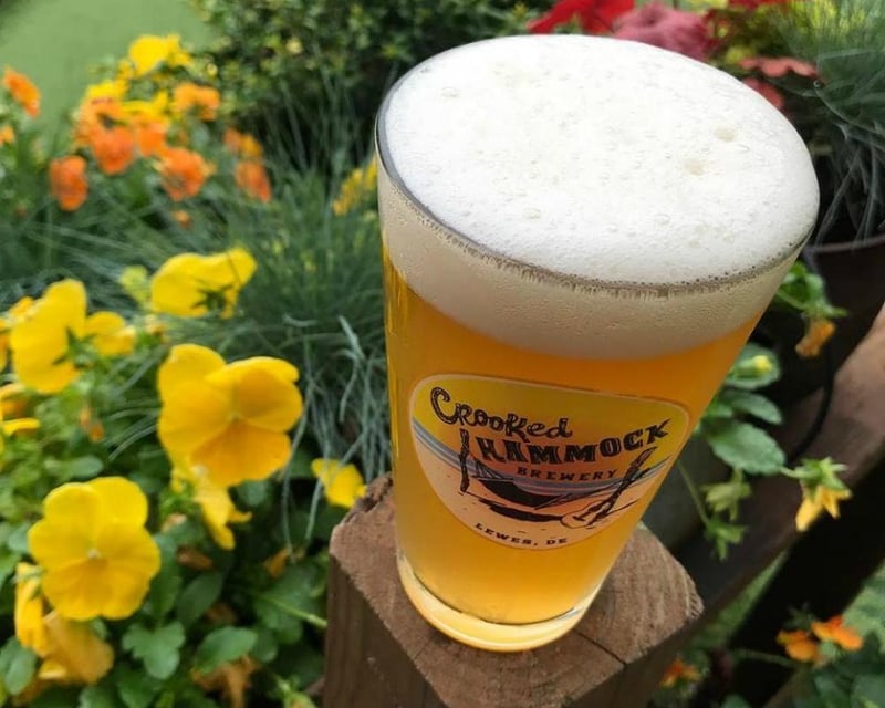 Explore Outdoor Beer Gardens Near Rehoboth Beach