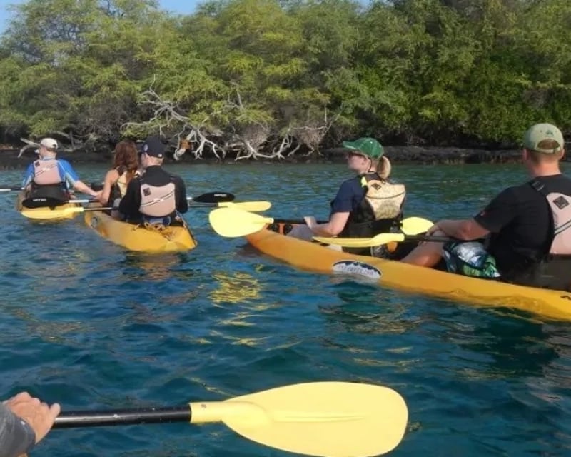 Kealakekua Bay Kayak & Snorkel to Captain Cook Monument