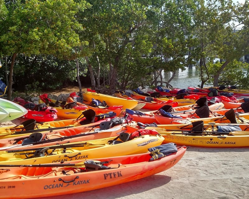 Mangrove Kayak & Paddleboard Rental in Tavernier