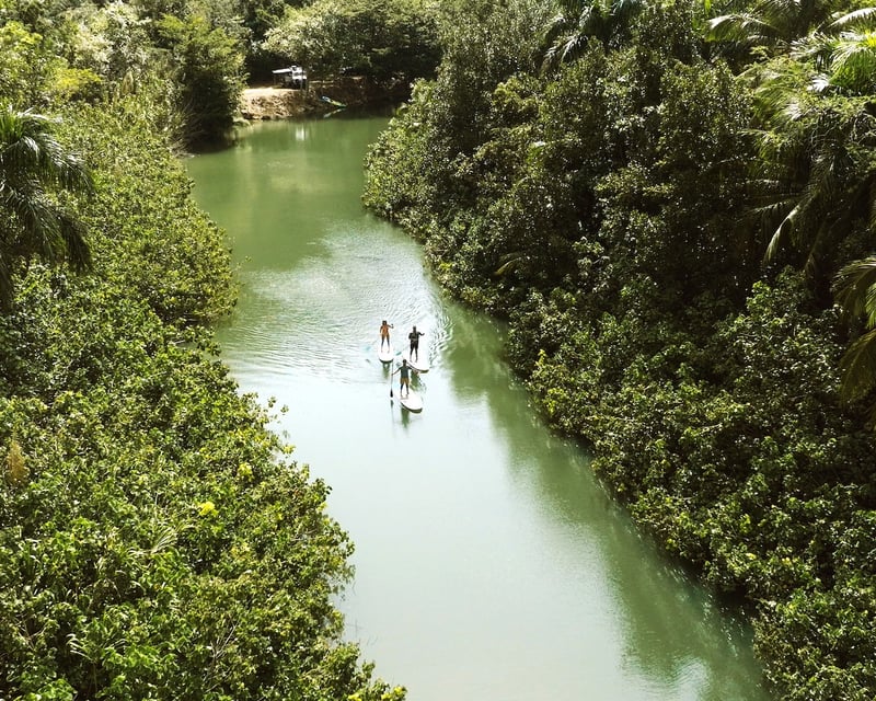 Private Guided Kayak & Paddleboard Tour in Isabela