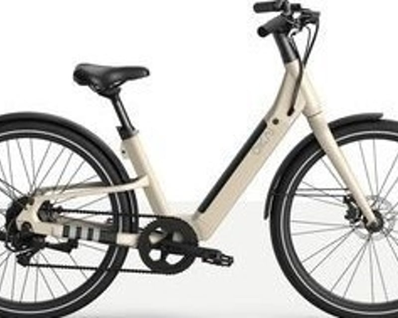 Newport Beach E-Bike Rental Near Back Bay Loop Trail