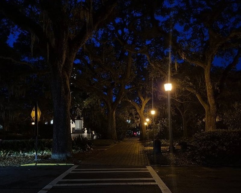 Private Savannah True Crime, History or Paranormal Walk