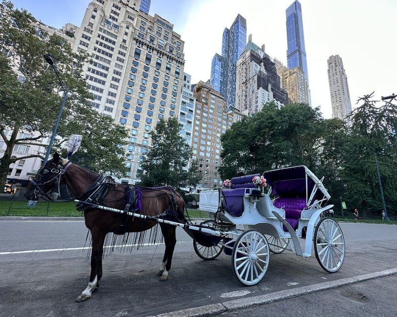 Central Park Horse Carriage Ride in New York City