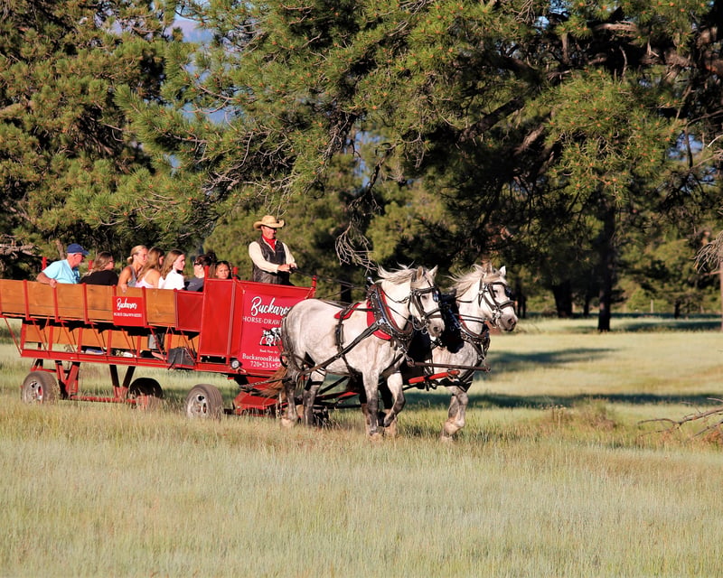 Horse-Drawn Wagon Ride in Pagosa Springs
